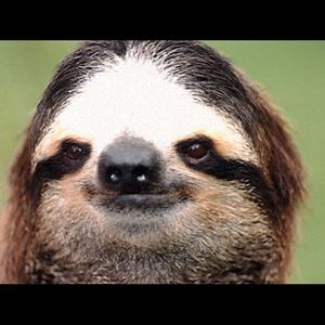 Meet your Posher, Vicky